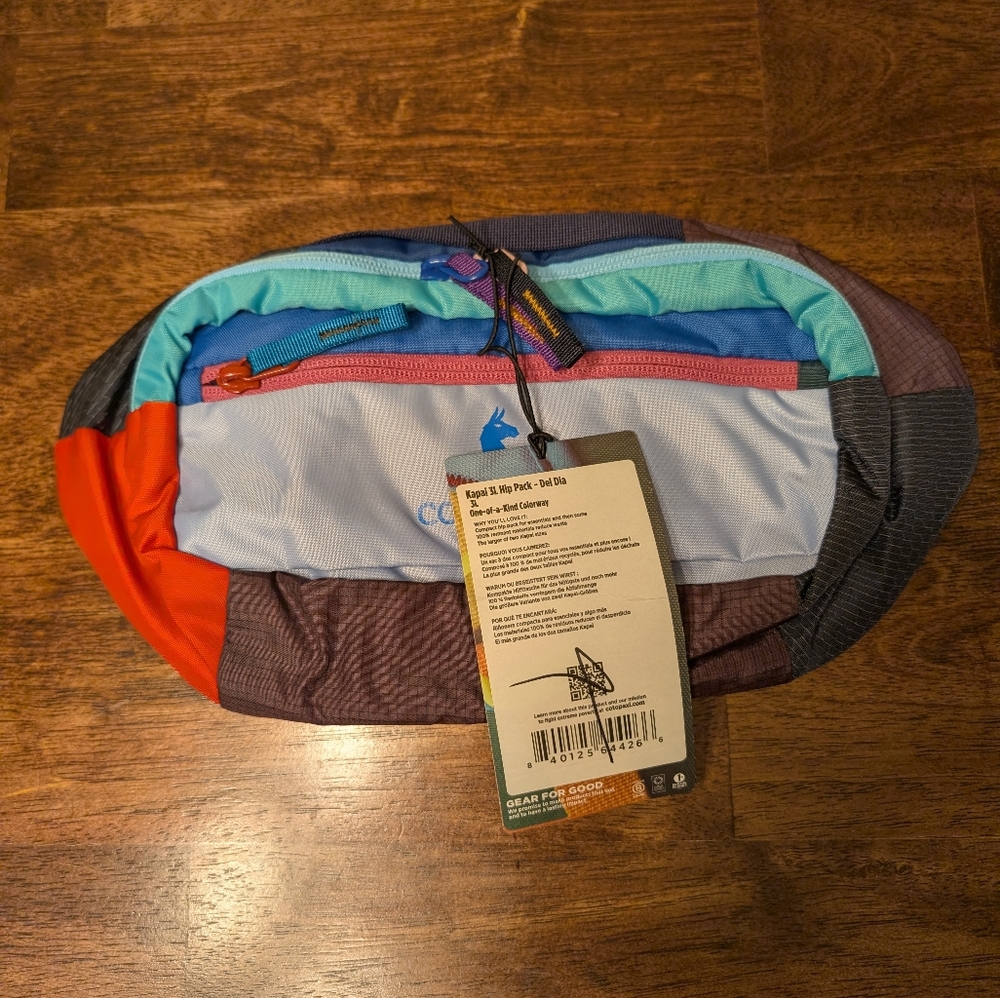 Cotopaxi 3L Hip Pack - Del Dia - One-of-a-kind Colorway